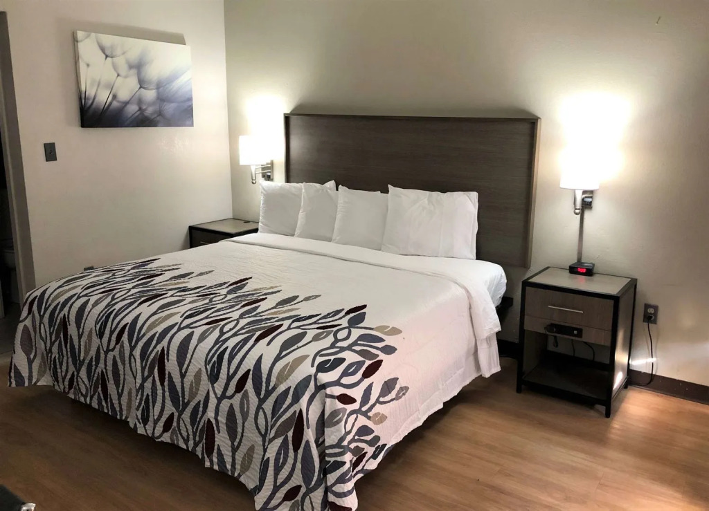 Red Roof Inn Petersburg - Fort Lee