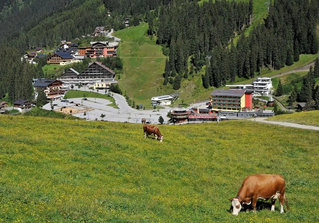 Berghotel Hochfügen