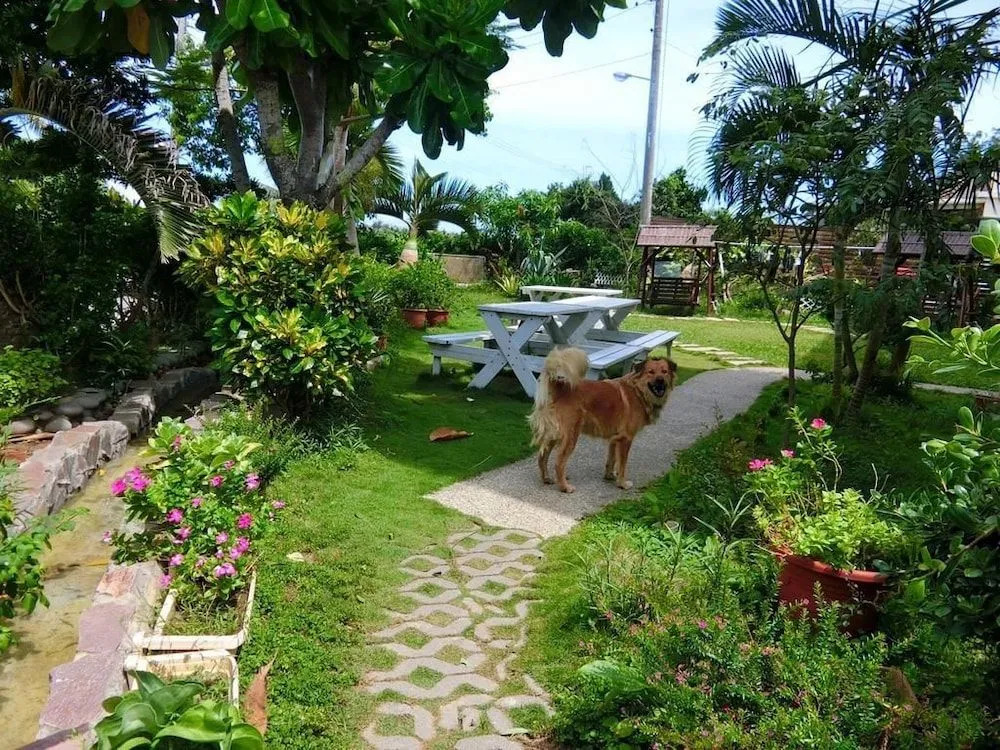 Julies Garden
