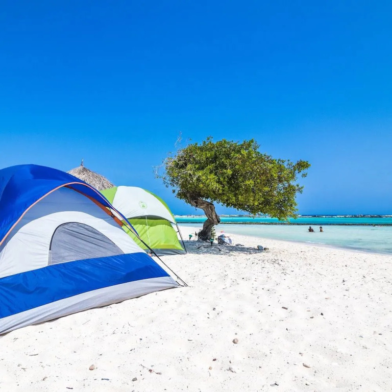Aruba Stop by The Stop Club