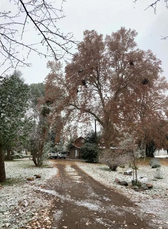 Posada Los Cipreses