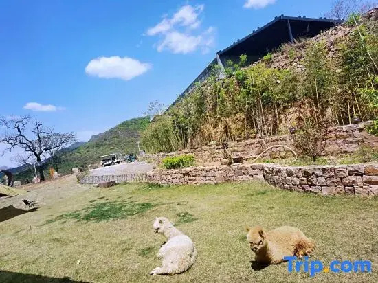Wangpo Homestay