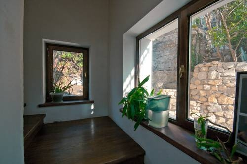 Sobaka Hostel in Yalta