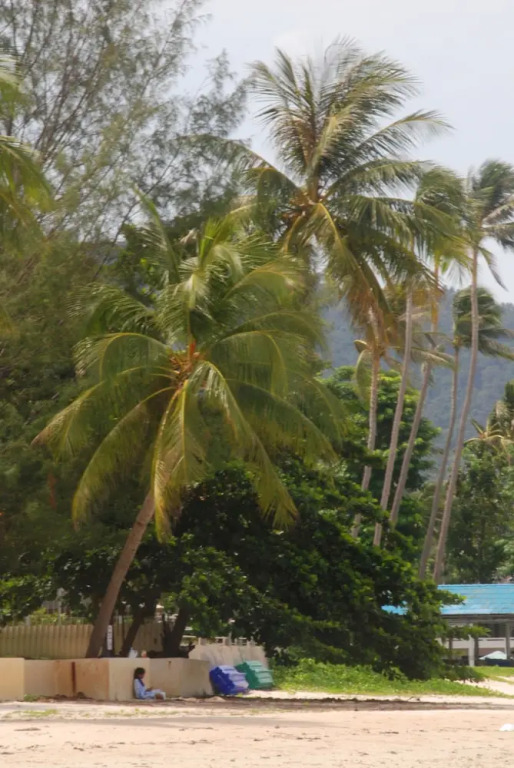 Lauras Guest House-adult only