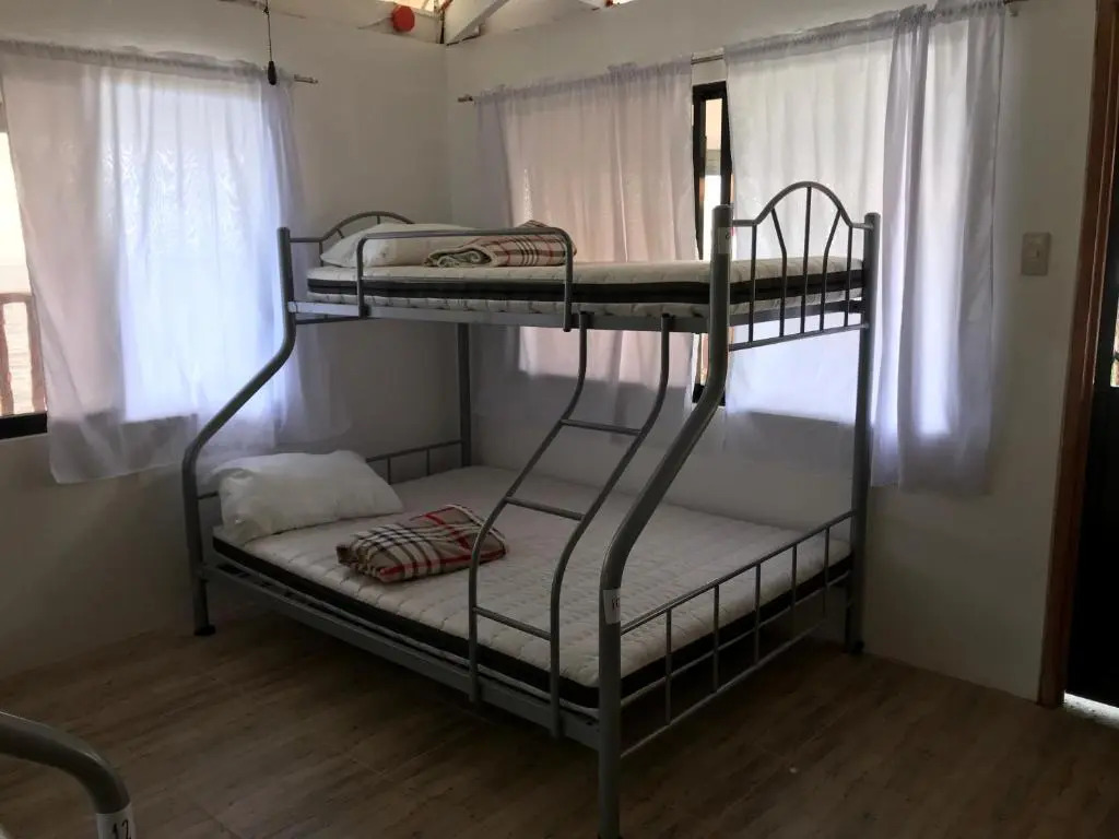 Hostel Lions