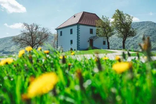 Wine Growers Mansion Zlati Gric