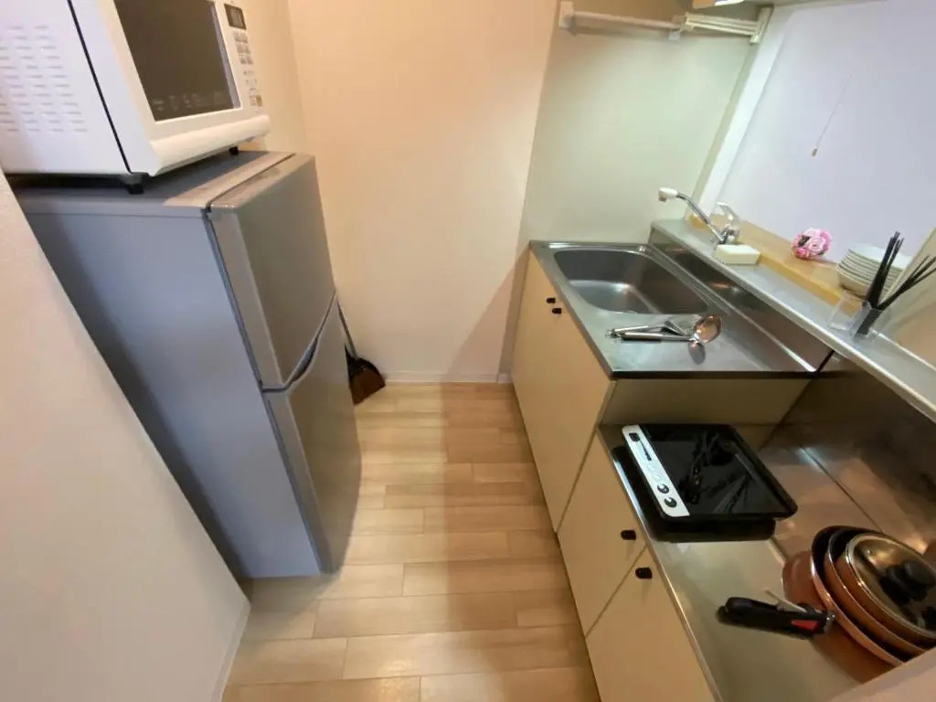 Downtown area Spacious cozy room Susukino IK301