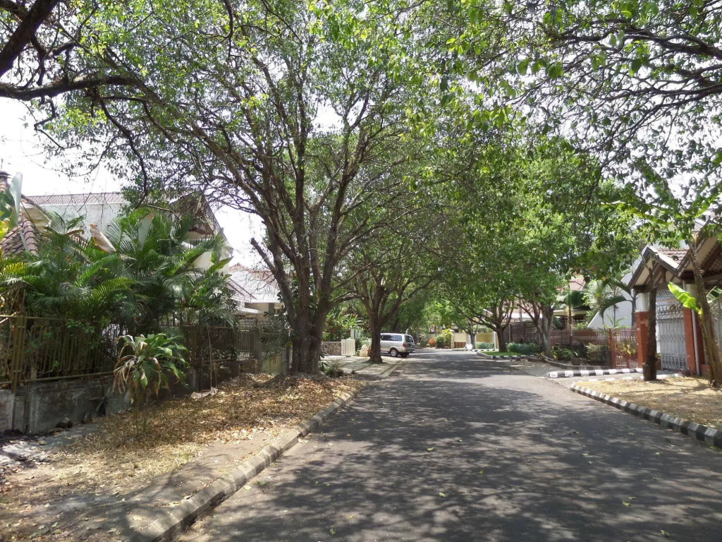 Shinta Guesthouse