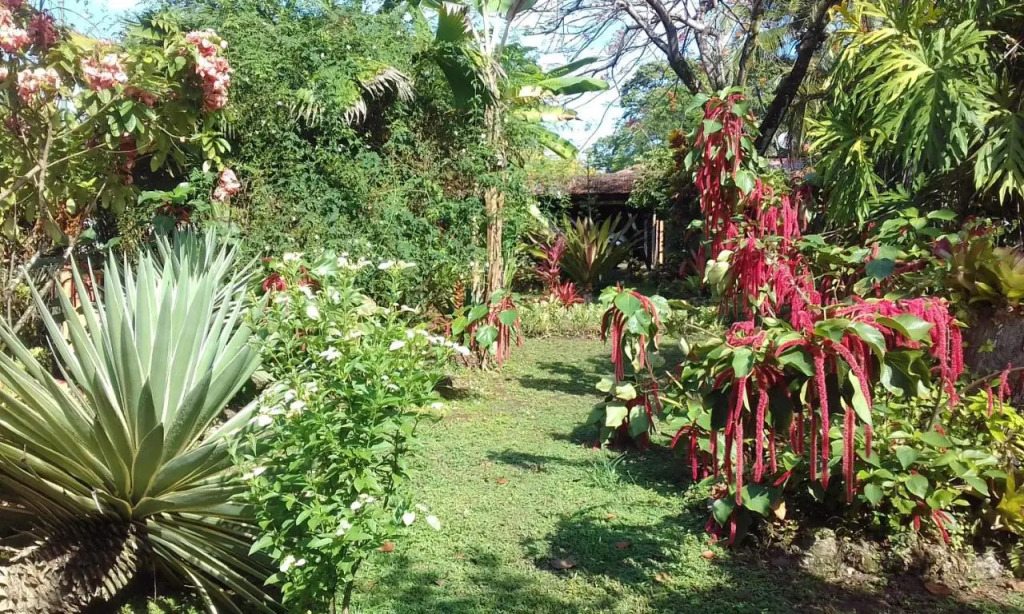 Escape Caribeño