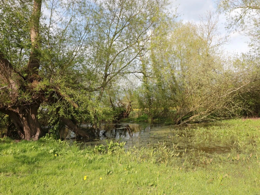 Granary 1