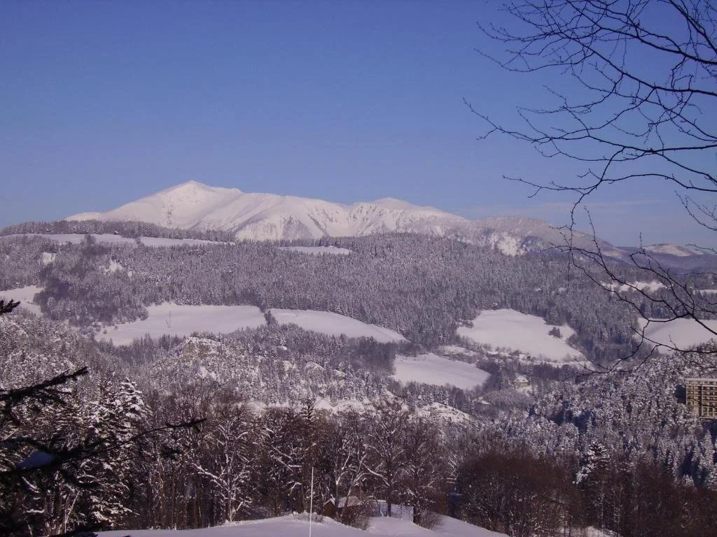 Villa Daheim Semmering