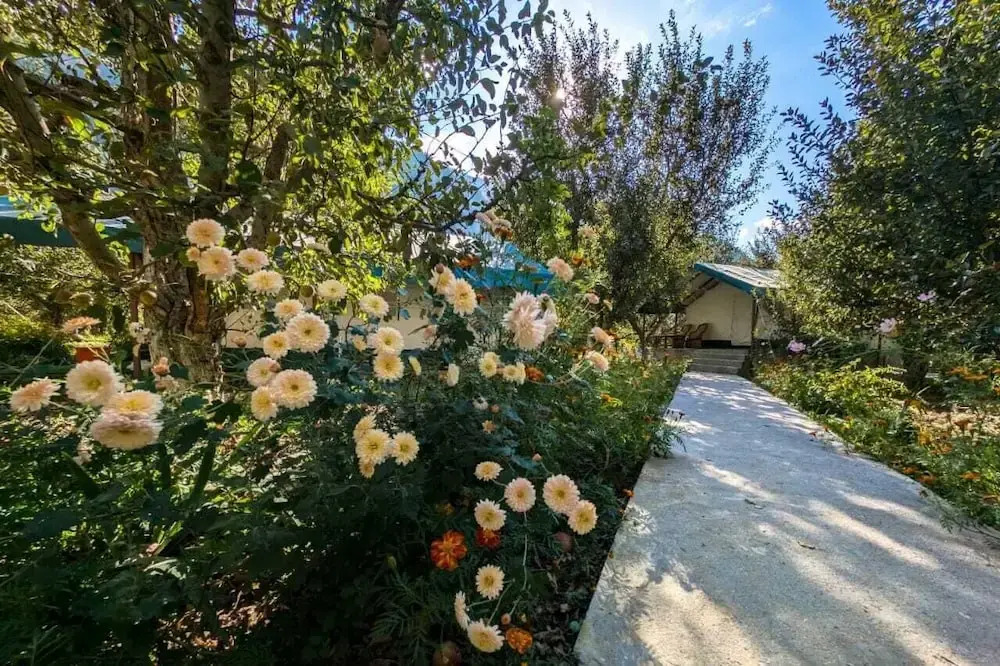 Apple Orchard Farm and Camping