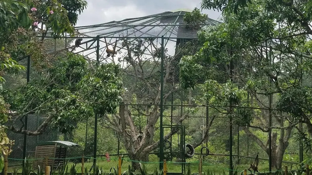 Rescue Center