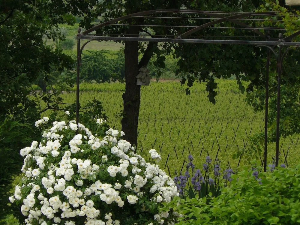 Le Mas des Etoiles - Luberon B&B