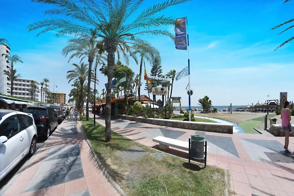 Zenplaya Bajo 3
