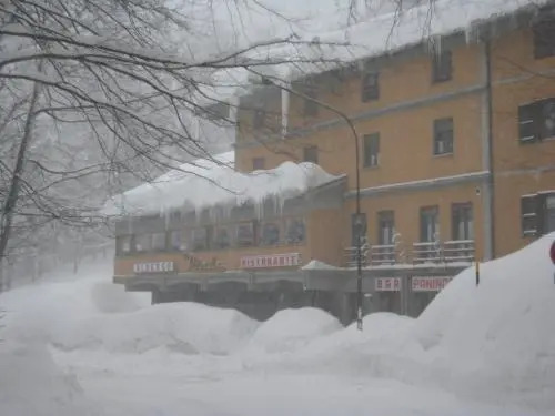 Hotel Primula