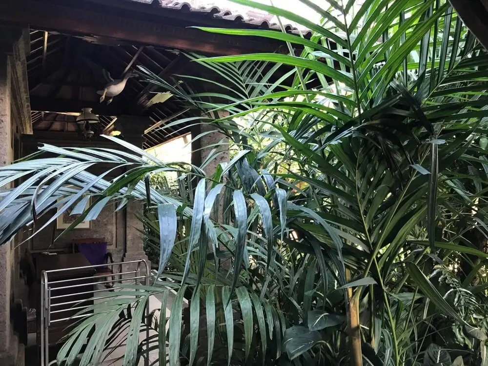 Nirvana Pension