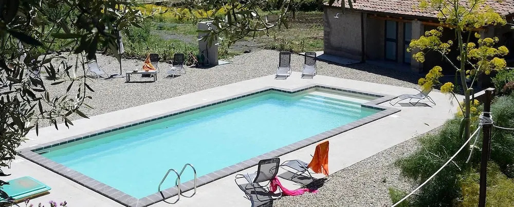 Il Tanaceto
