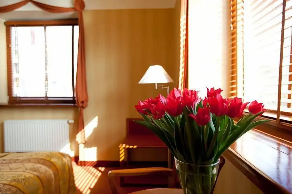 Hotel Willa Lubicz