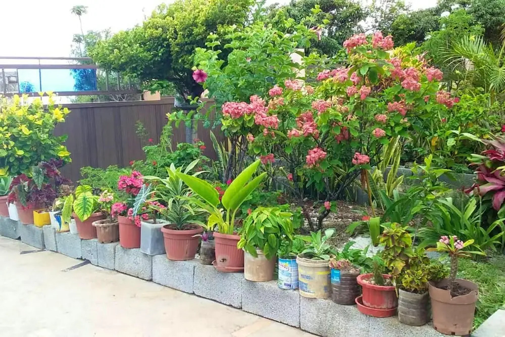 House with 3 Bedrooms in Anse Quitor , with Wonderful Sea View And Furnished Terrace