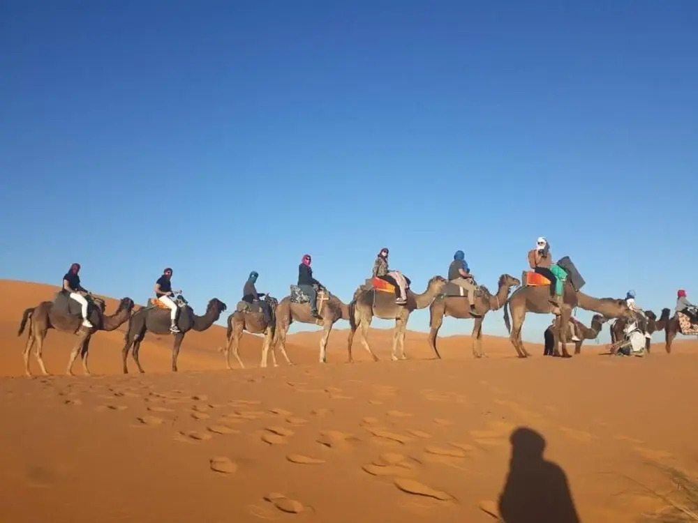 Auberge Sahara