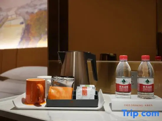 Vienna Hotel (Anqing Gountry Garden Wanda Plaza Hotel）)