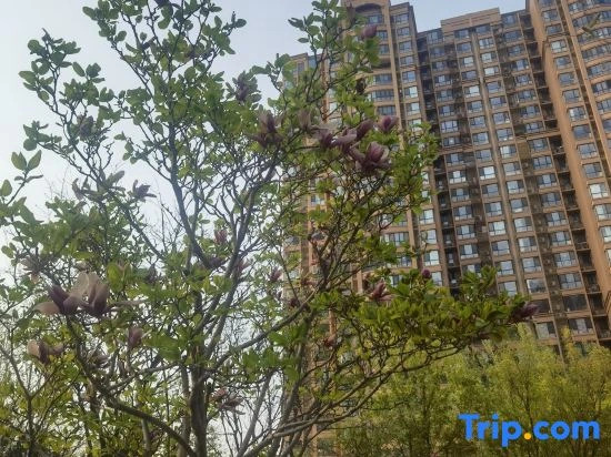 Luyuan Meisu Boutique Homestay