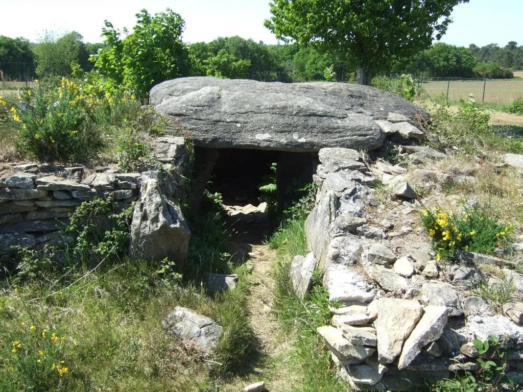 Le Clos De Lascoer
