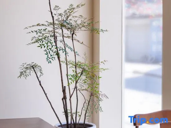 Xiapu Songdao Chenguan Homestay
