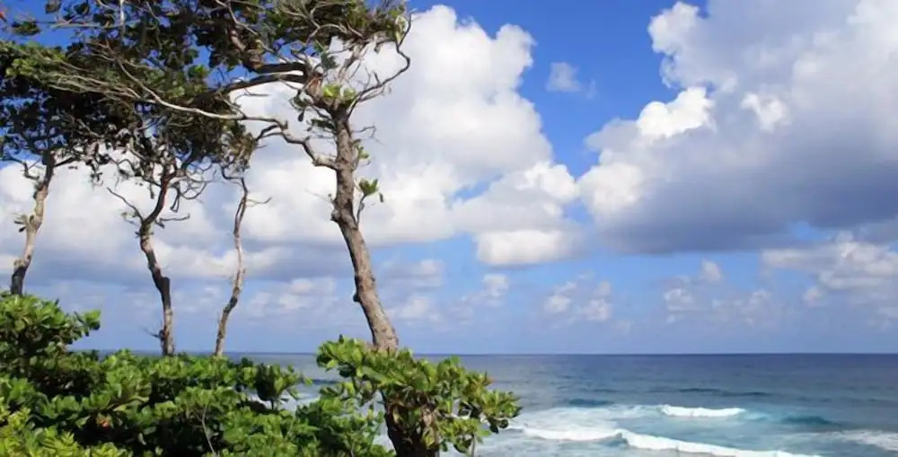Family Oriented - Private Beach & Horse Stables - Ocean, Pool, & Hot Tub