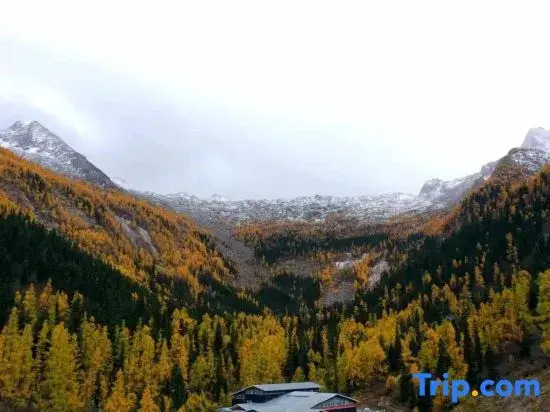Mid-Mountain Cloud Leisure · Life Mountain View Resort Inn (Heishui County Branch)
