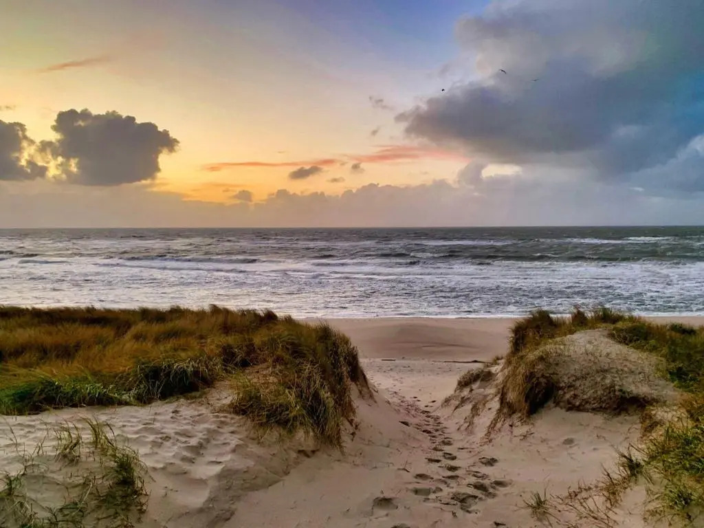 Strandkrone