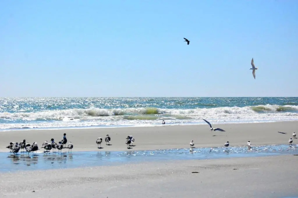 A Place at The Beach 9660-101