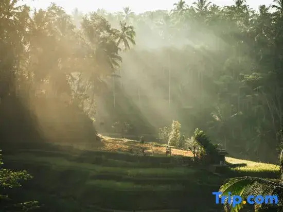 Private Room In Villa Near Ubud Monkey Forest