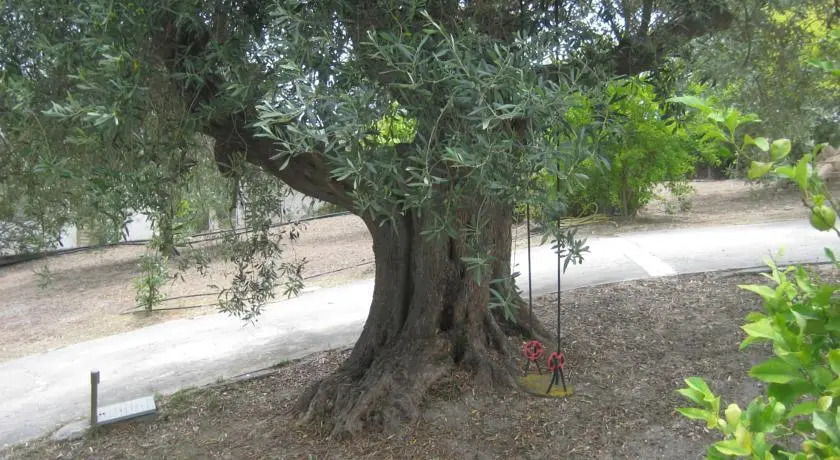 Holiday home La Quiete