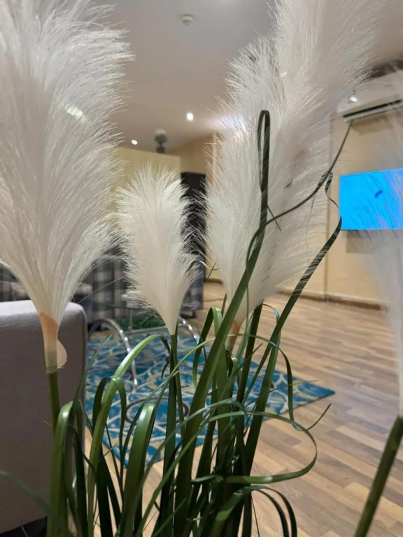 نسمة كان للشقق المخدومة
