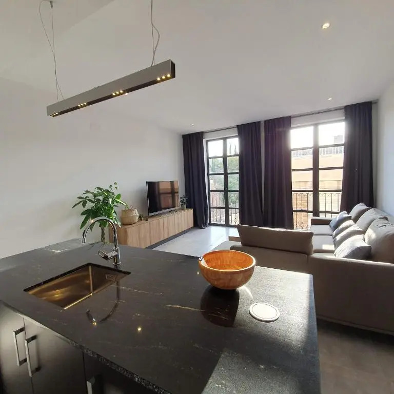 Historic suites Penthouse 30