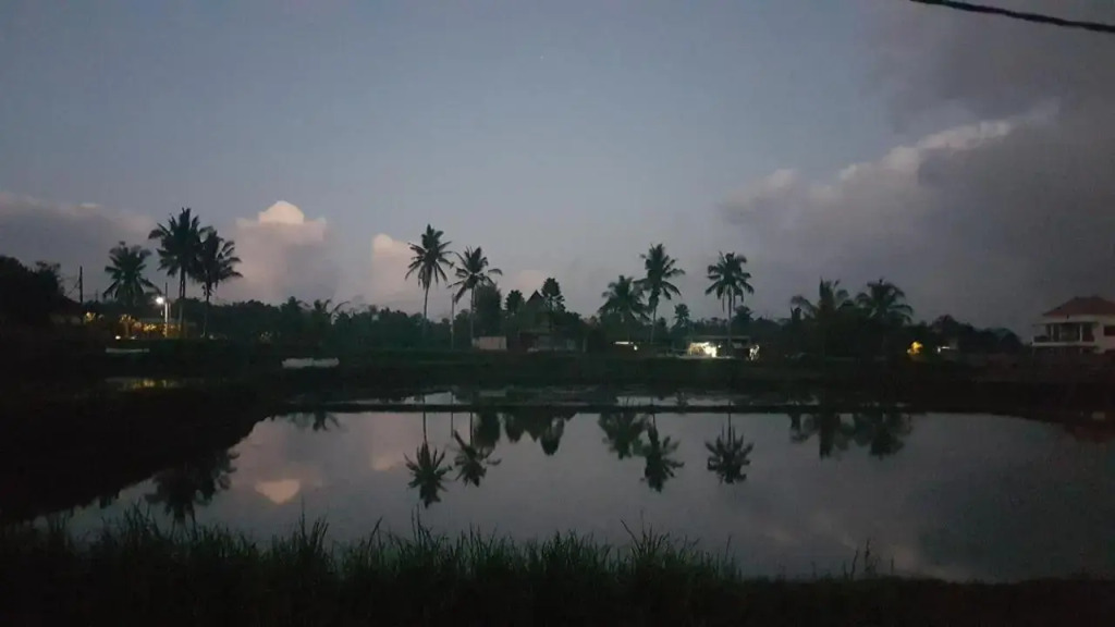Srijaya Ubud