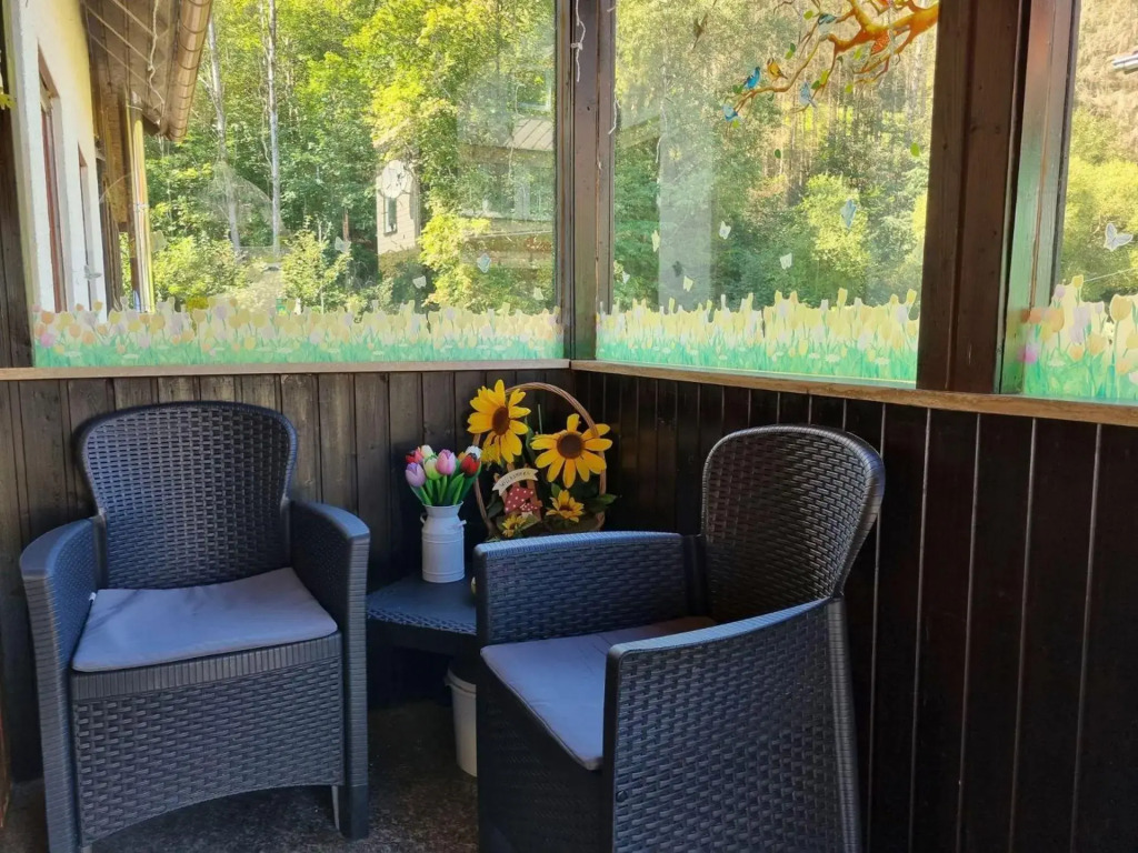 Ferienwohnung-Harz-Abenteuer-fuer-8-Personen-im-attraktiven-Harz