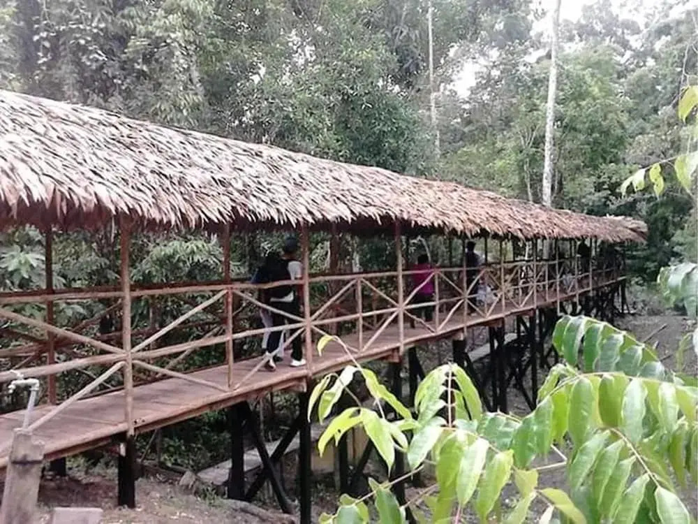 Wimba Jungle Lodge