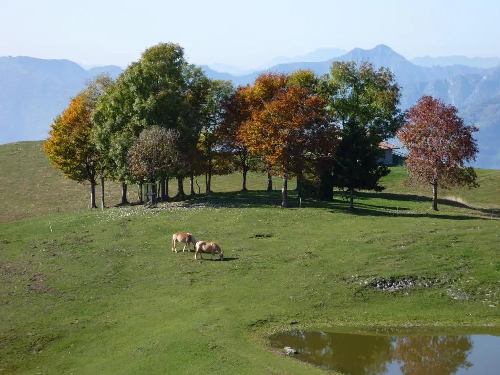 Il Lago Racconta