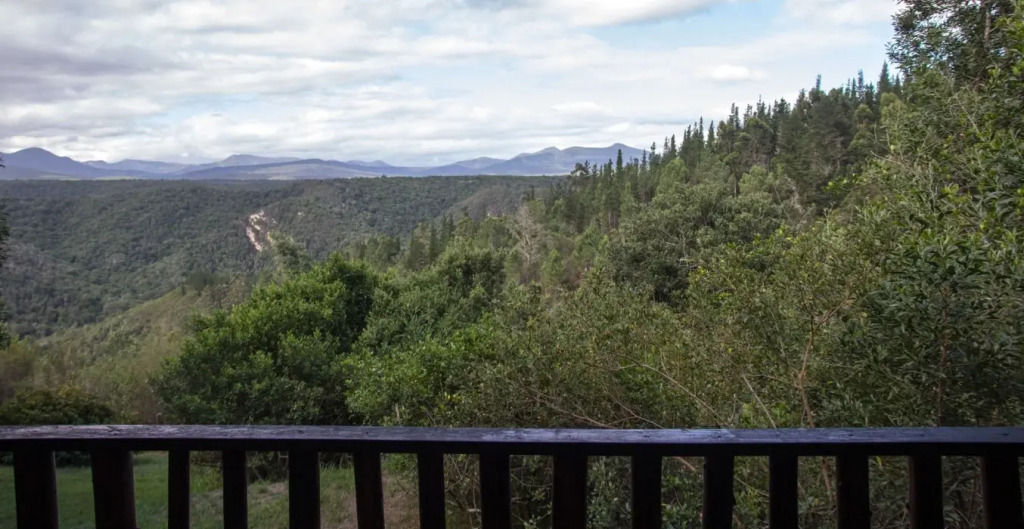 Forest Valley Cottages