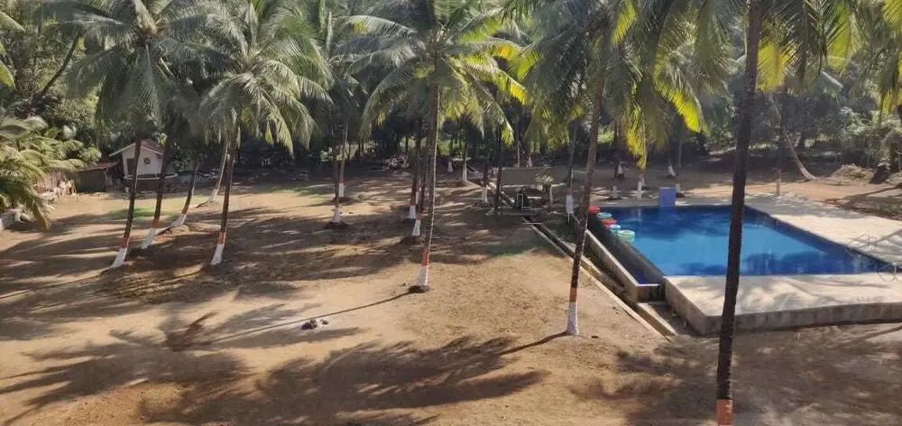 70% Beach Resort