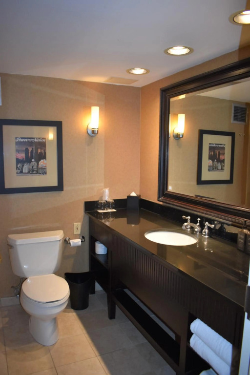Sheraton Lisle Naperville Hotel