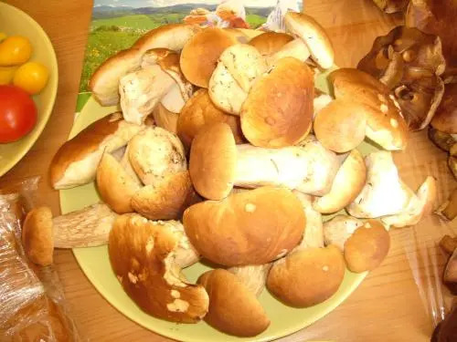 Apartmány Racek