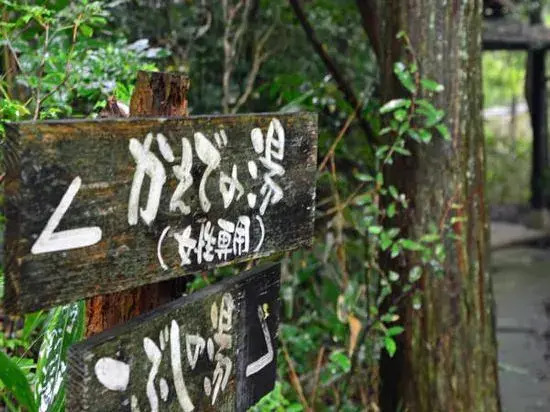 Ryokan Shinseikan