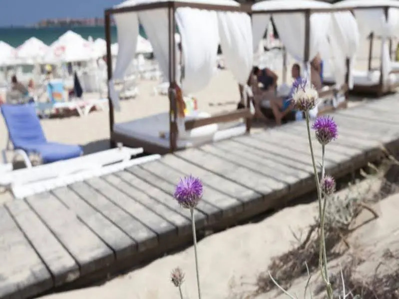 Amfora Beach Hotel