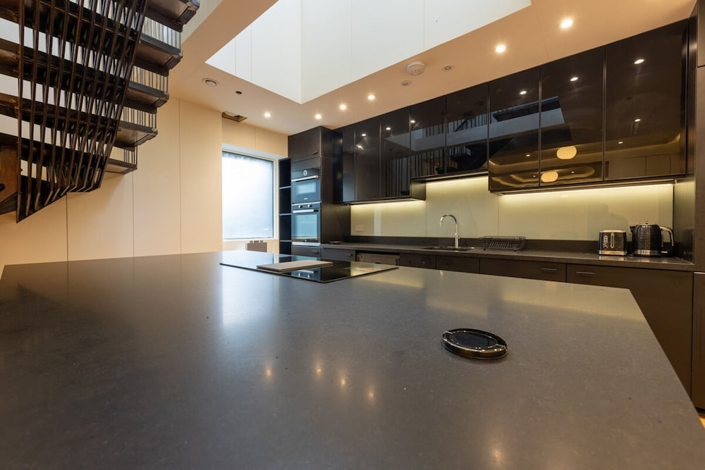 10a OG Primrose Hill Townhouse-industrial Chic Design 10