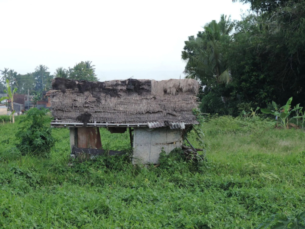 Duanas Homestay