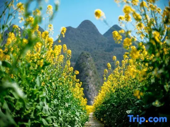 wuyuewanli homestay